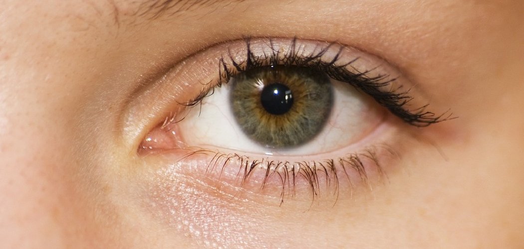 How to Put On False Eyelashes